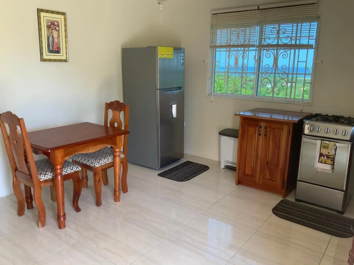 Poinciana Apartment One 257 Poinciana Drive Green Wood Montego Bay Jamaica